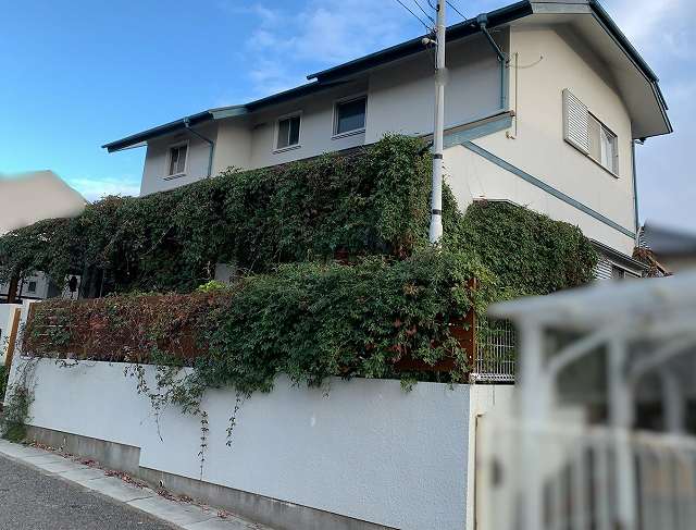 【神戸市須磨区】外壁一面を覆うツタの恐怖！塗装前の徹底撤去作業